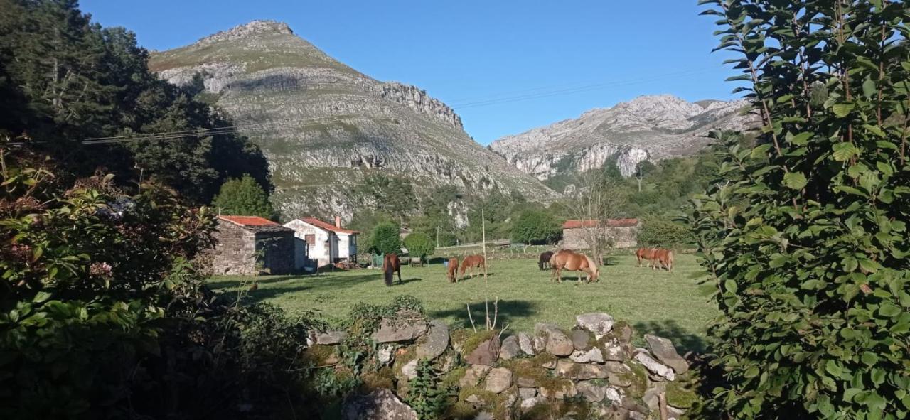 Amplia Y Comoda Casa De Piedra Con Porche Y Jardin San Roque de Riomiera Exterior photo